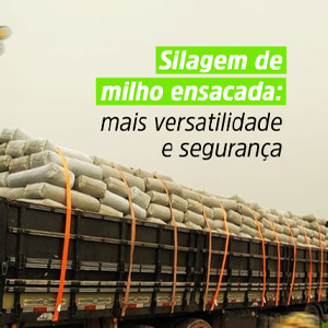 Silagem de Milho Ensacada