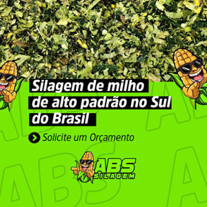 Silagem de Milho a Granel
