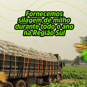 Fornecimento Programado