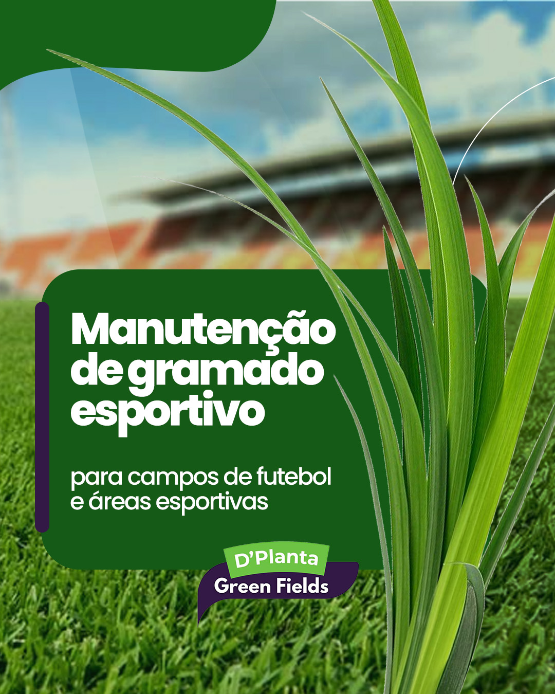 Manutenção de Gramados