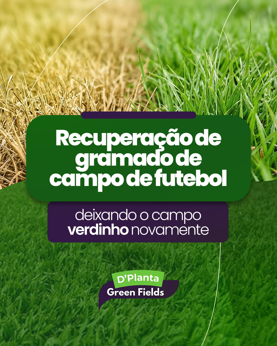 Recuperação de Gramado