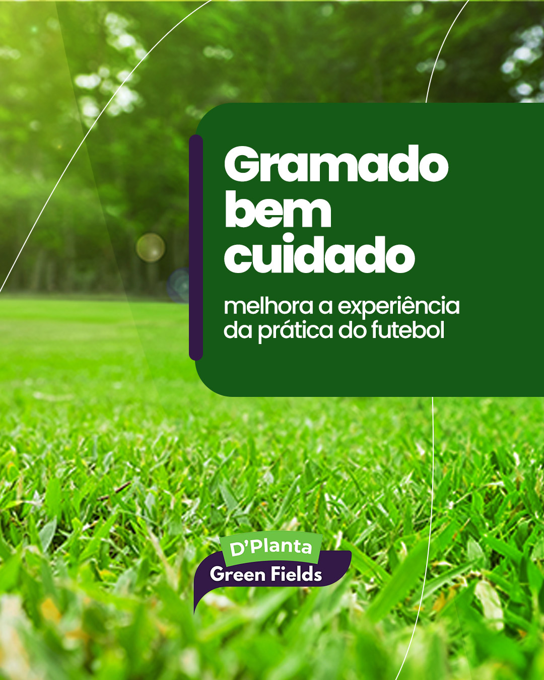 Tratamento de Solo