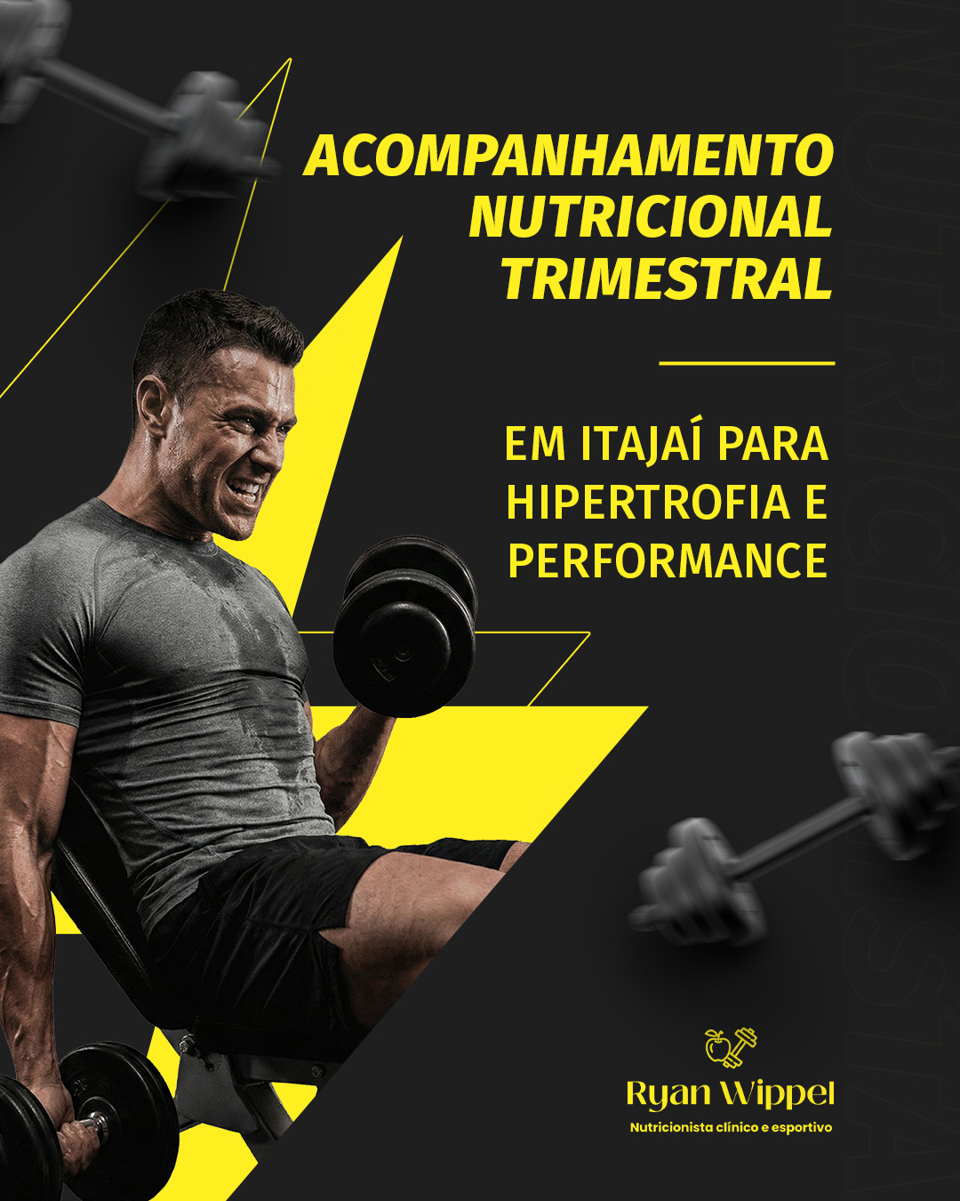 Acompanhamento Trimestral